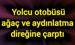 Yolcu otobüsü ağaç ve aydınlatma direğine çarptı