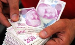 Bakan açıkladı, çiftçilere 5,5 milyar lira destek ödemesi yapılacak
