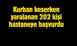 Kurban keserken yaralanan 202 kişi hastaneye başvurdu