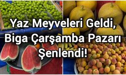 Yaz Meyveleri Geldi, Biga Çarşamba Pazarı Şenlendi!
