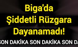 Biga'da Şiddetli Rüzgara Dayanamadı!