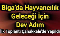 Biga’da Hayvancılık Geleceği İçin Dev Adım: İlk Toplantı Çanakkale’de Yapıldı