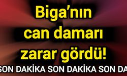 Biga’nın can damarı zarar gördü!