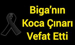 Biga’nın Koca Çınarı Vefat Etti