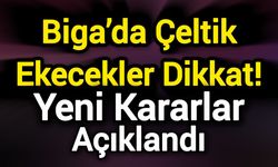 Biga’da Çeltik Ekecekler Dikkat! Yeni Kararlar Açıklandı