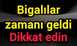Bigalılar zamanı geldi: Dikkat edin