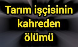 Tarım işçisinin kahreden ölümü