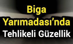 Biga Yarımadası’nda Tehlikeli Güzellik