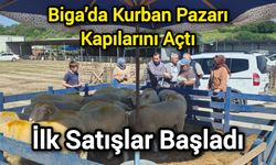 Biga’da Kurban Pazarı Kapılarını Açtı: İlk Satışlar Başladı