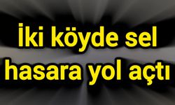 İki köyde sel hasara yol açtı
