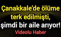 Çanakkale’de ölüme terk edilmişti, şimdi bir aile arıyor!