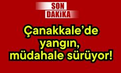 Çanakkale’de yangın, müdahale sürüyor!