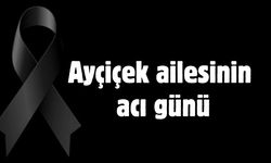 Ayçiçek ailesinin acı günü
