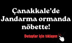 Çanakkale’de Jandarma ormanda nöbette!