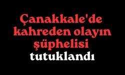 Çanakkale'de kahreden olayın şüphelisi tutuklandı