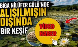 Biga Nilüfer Gölü’nde alışılmışın dışında bir keşif