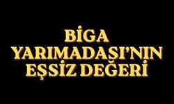 Biga Yarımadası’nın Eşsiz Değeri