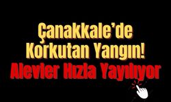 Çanakkale’de Korkutan Yangın! Alevler Hızla Yayılıyor
