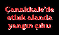 Çanakkale'de otluk alanda yangın çıktı