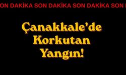 Çanakkale’de Korkutan Yangın!