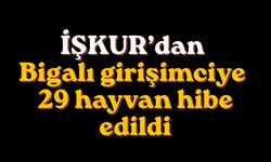 İŞKUR’dan Bigalı girişimciye 29 hayvan hibe edildi