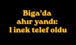 Biga’da ahır yandı: 1 inek telef oldu