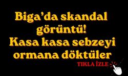 Biga’da skandal görüntü! Kasa kasa sebzeyi ormana döktüler