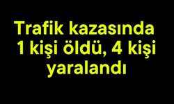 Trafik kazasında 1 kişi öldü, 4 kişi yaralandı