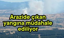 Arazide çıkan yangına müdahale ediliyor