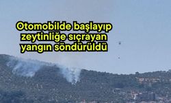 Otomobilde başlayıp zeytinliğe sıçrayan yangın söndürüldü