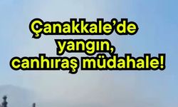Çanakkale’de yangın, canhıraş müdahale!