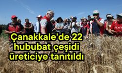 Çanakkale'de 22 hububat çeşidi üreticiye tanıtıldı