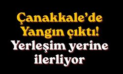 Çanakkale’de Yangın çıktı! Yerleşim yerine ilerliyor