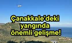 Çanakkale'deki yangında önemli gelişme!