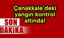 Çanakkale’deki yangın kontrol altında!