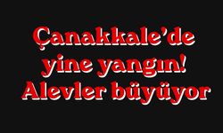 Çanakkale’de yine yangın! Alevler büyüyor