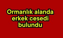 Ormanlık alanda erkek cesedi bulundu