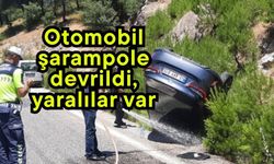 Otomobil şarampole devrildi, yaralılar var