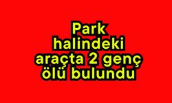 Park halindeki araçta 2 genç ölü bulundu