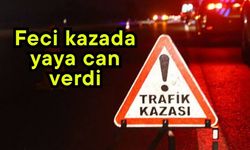 Feci kazada yaya can verdi