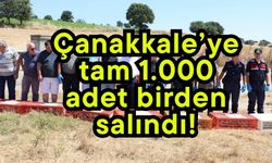 Çanakkale’ye tam 1.000 adet birden salındı!