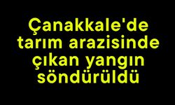 Çanakkale'de tarım arazisinde çıkan yangın söndürüldü