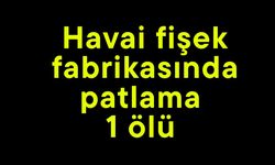 Havai fişek fabrikasında patlama  1 ölü