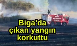 Biga’da çıkan yangın korkuttu