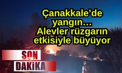 Çanakkale’de yangın… Alevler rüzgarın etkisiyle büyüyor
