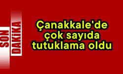Çanakkale'de çok sayıda tutuklama oldu