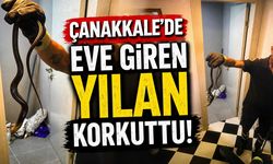 Çanakkale'de Eve Giren Yılan Korkuttu
