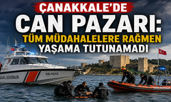 Çanakkale’de can pazarı: Tüm müdahalelere rağmen yaşama tutunamadı