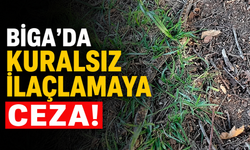 Biga’da kuralsız ilaçlamaya ceza!
