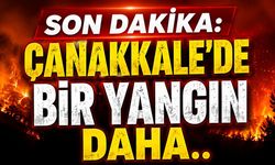 SON DAKİKA: Çanakkale'de Bir Yangın Daha